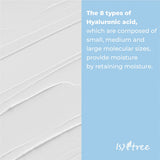 IsNtree  HYALURONIC ACID LOW-PH CLEANSING FOAM