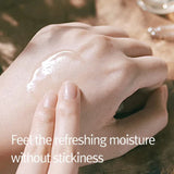 Pyunkang Yul - New Calming Moisture Serum